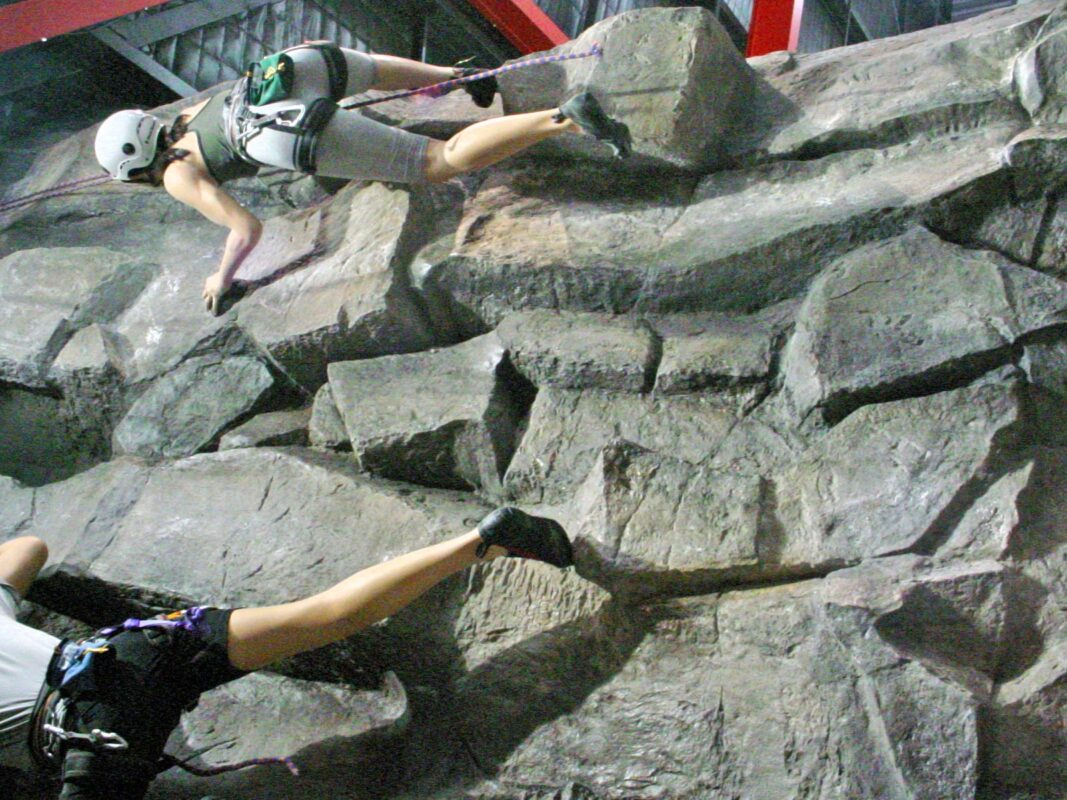 Themed Interiors Bootleg